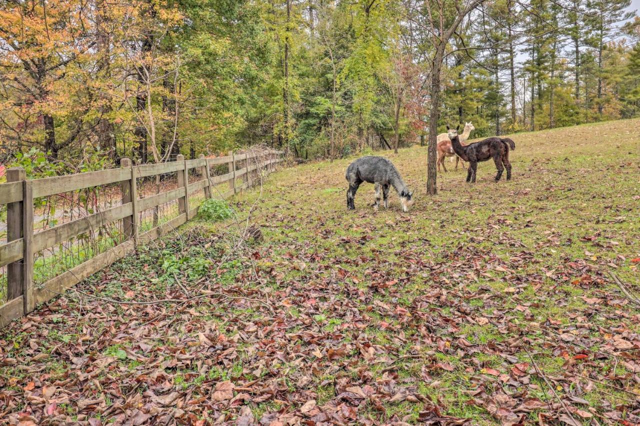 Rustic Hendersonville Farm Studio With Private Deck Eksteriør billede