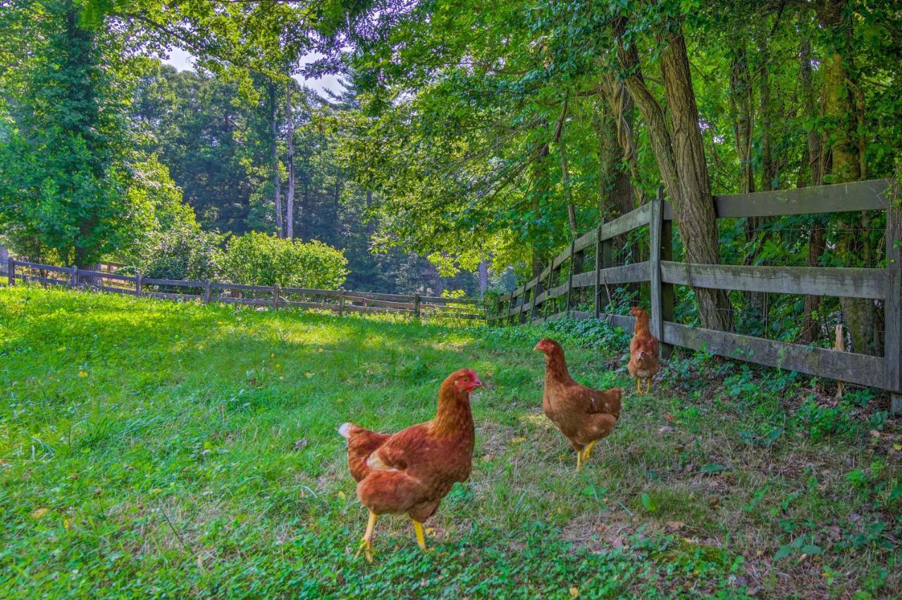 Rustic Hendersonville Farm Studio With Private Deck Eksteriør billede