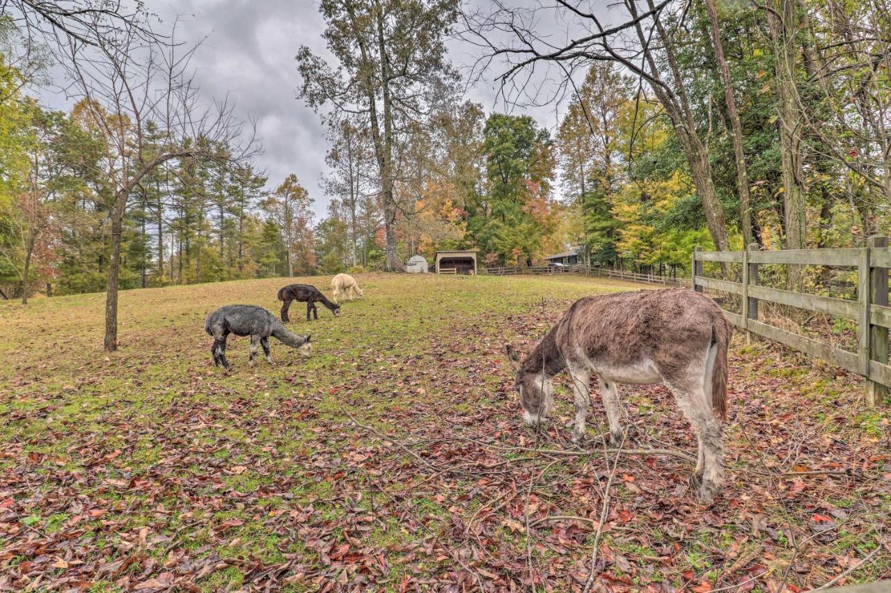 Rustic Hendersonville Farm Studio With Private Deck Eksteriør billede