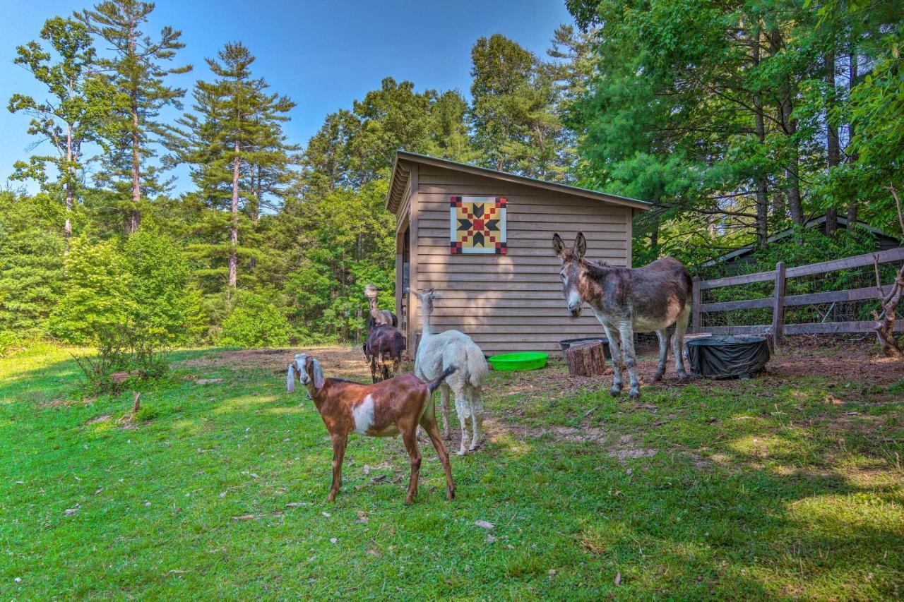 Rustic Hendersonville Farm Studio With Private Deck Eksteriør billede